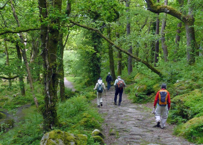 Eco getaway Eco getaway