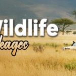Wildlife adventure holidays