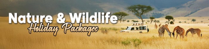 Wildlife adventure holidays