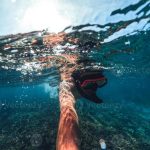 Snorkeling in tropical destinations