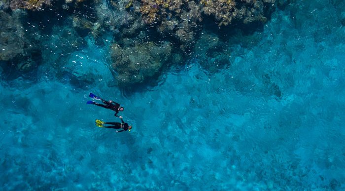 Snorkeling fish Snorkeling fish